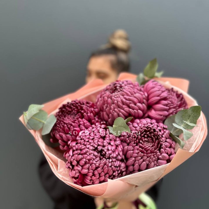 Хризантемы  Бигуди  в Комсомольске-на-Амуре