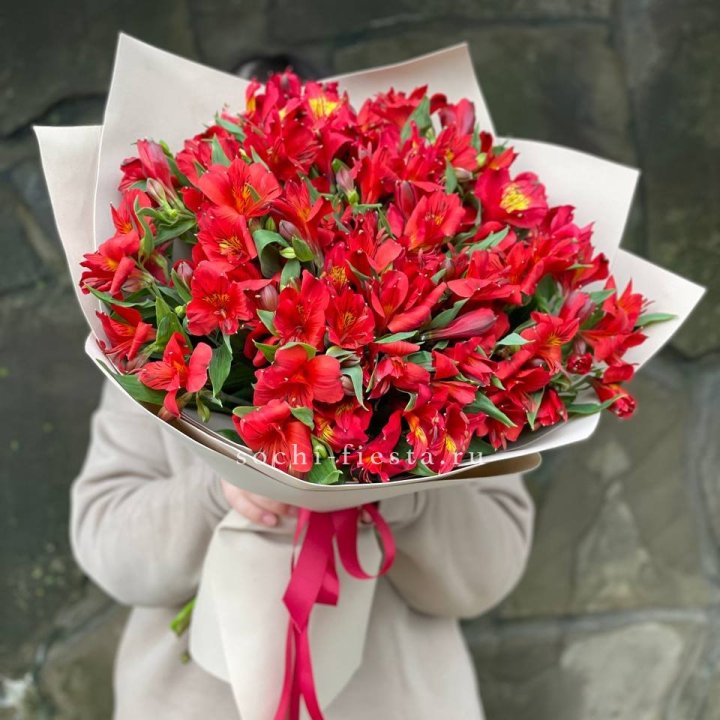 51 альстромерия в Комсомольске-на-Амуре