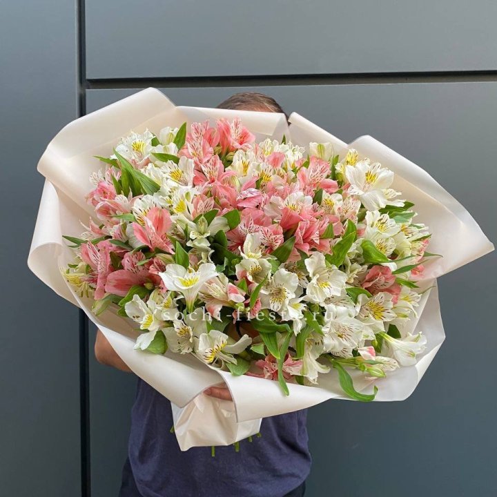 39 альстромерий в Комсомольске-на-Амуре