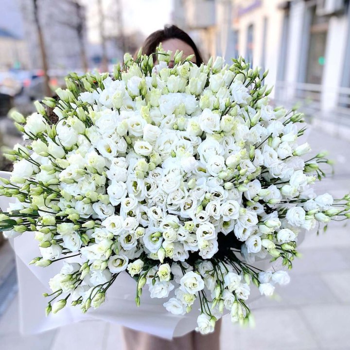 101 белая эустома в Комсомольске-на-Амуре