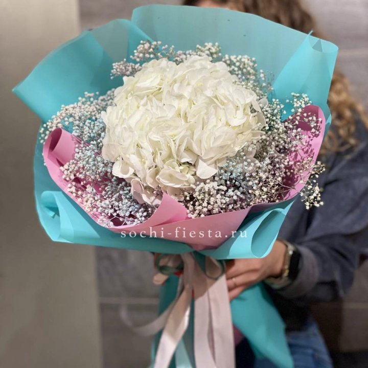 Гортензия "Райдов" в Комсомольске-на-Амуре