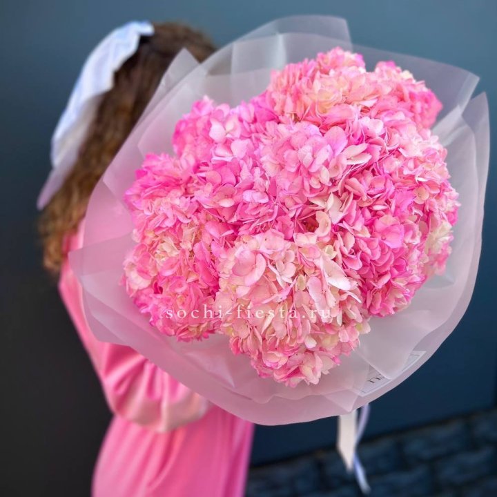 7 ярко розовых гортензий в Комсомольске-на-Амуре