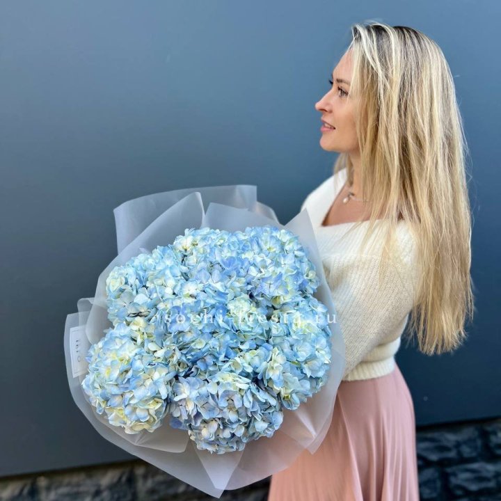 7 голубых гортензий в Комсомольске-на-Амуре