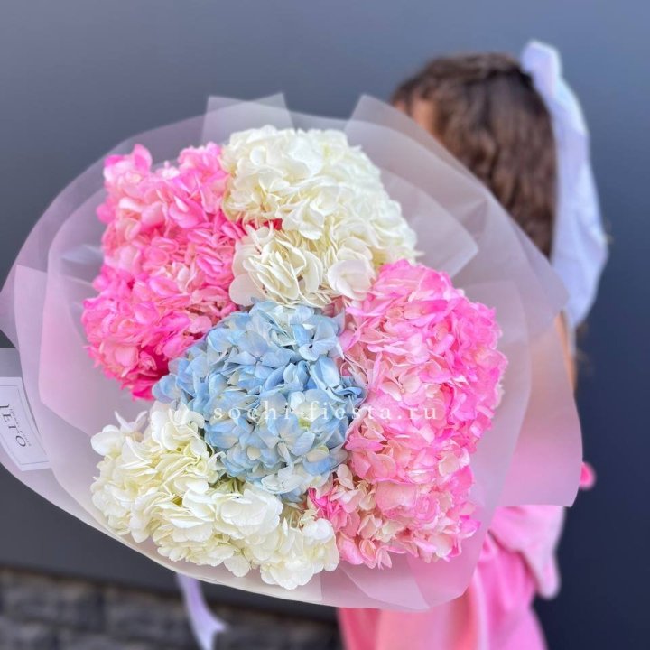 7 гортензий микс в Комсомольске-на-Амуре