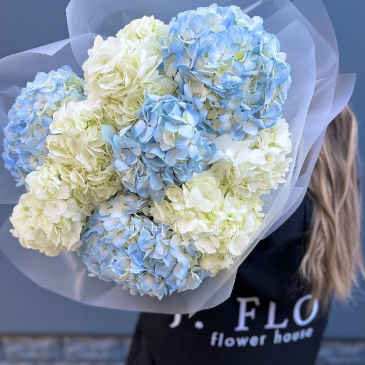9 бело-голубых гортензий в Комсомольске-на-Амуре