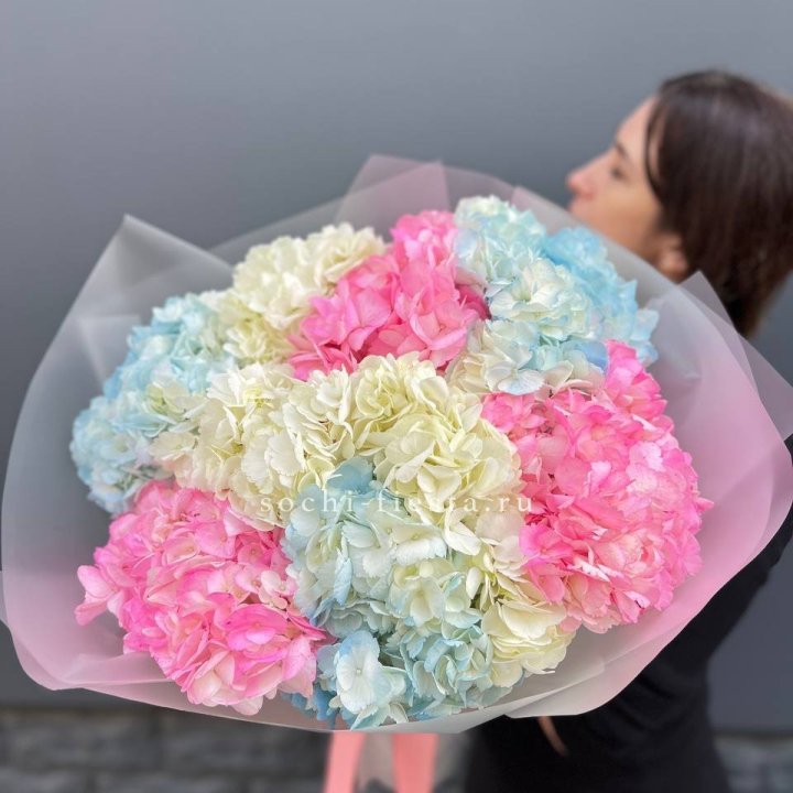 9 гортензий микс в Комсомольске-на-Амуре