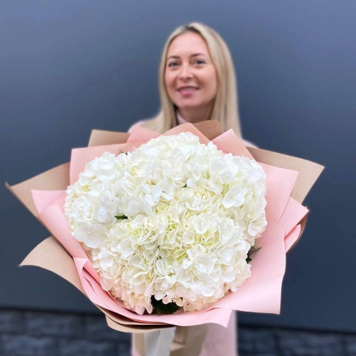 Гортензия белая в Комсомольске-на-Амуре