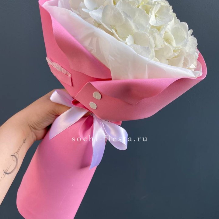 Гортензия в розовом пиджаке в Комсомольске-на-Амуре