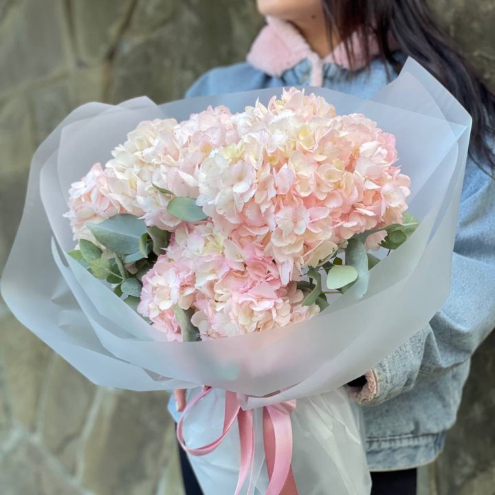 5 розовых гортензий в Комсомольске-на-Амуре