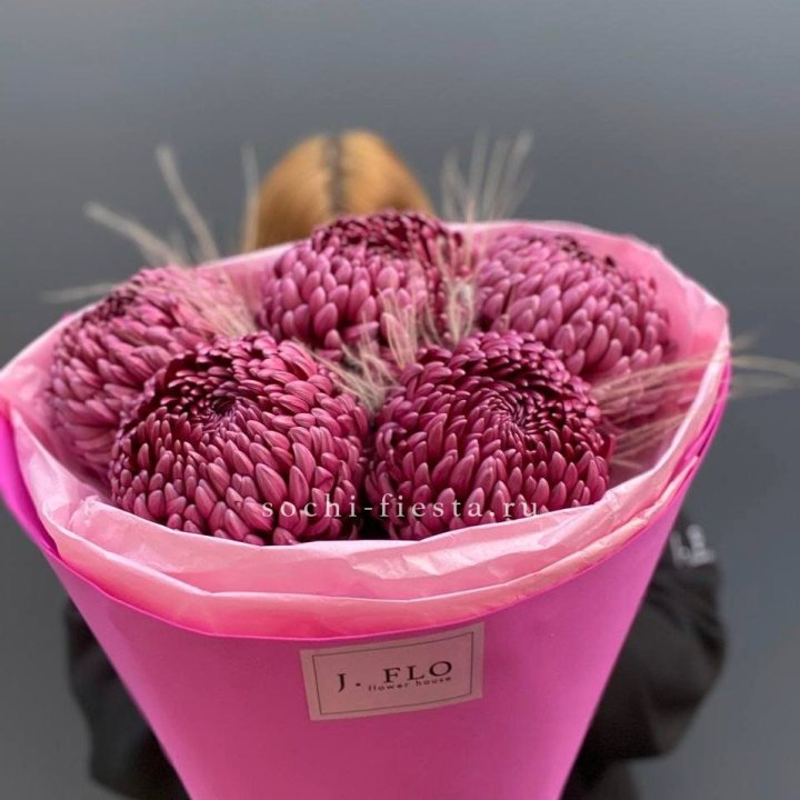 Хризантемы  Бигуди с стифой в Комсомольске-на-Амуре