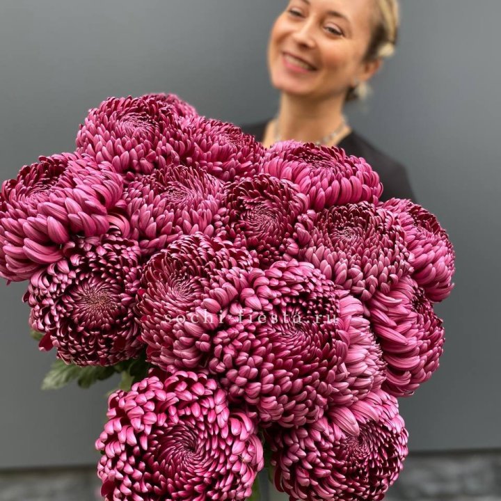 Охапка хризантем Бигуди в Комсомольске-на-Амуре