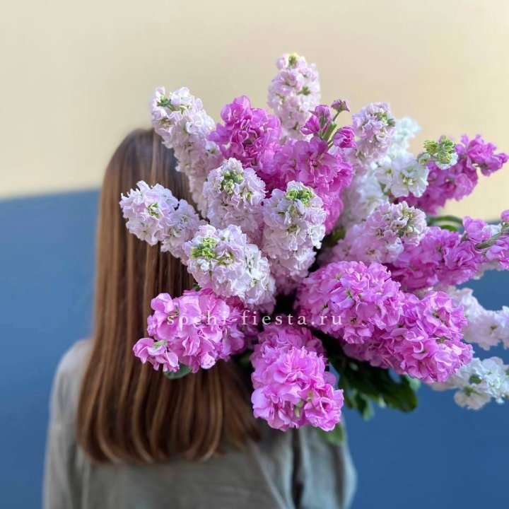 Охапка маттиолы в Комсомольске-на-Амуре