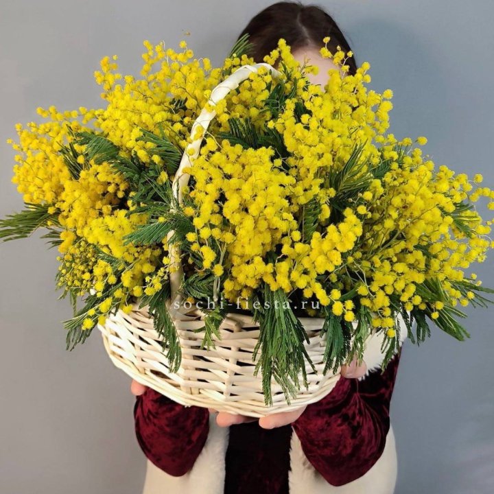 Корзина ароматной мимозы в Комсомольске-на-Амуре