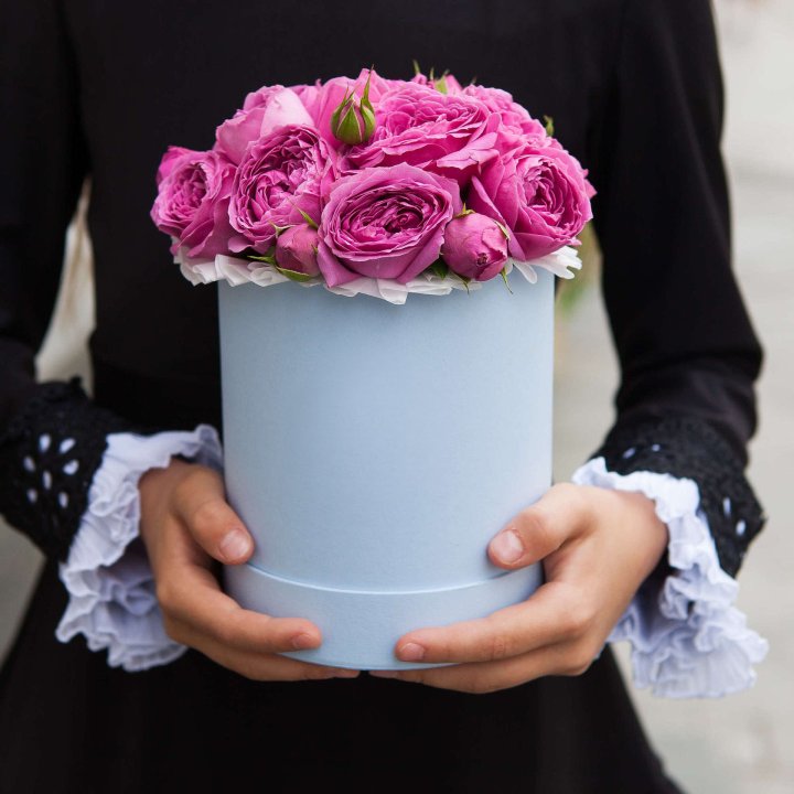 Бокс мини мисти в Комсомольске-на-Амуре