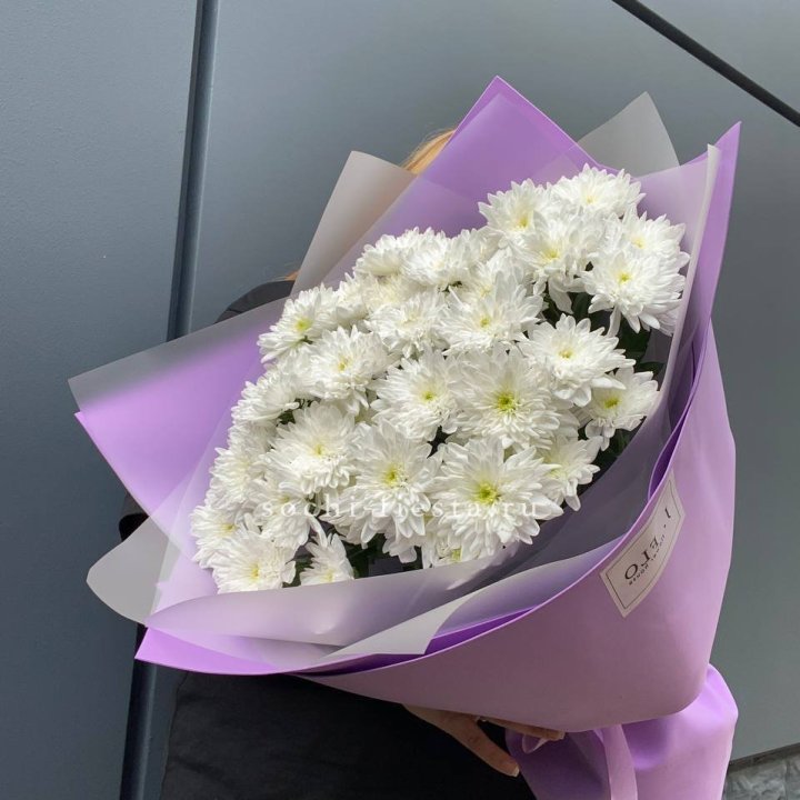  7 хризантем  в Комсомольске-на-Амуре