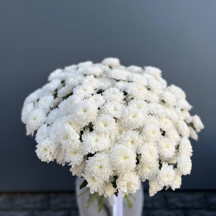  25 хризантем белых в Комсомольске-на-Амуре