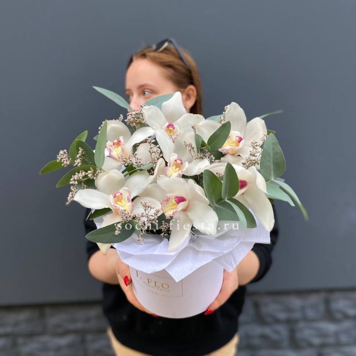 7 орхидей в боксе в Комсомольске-на-Амуре