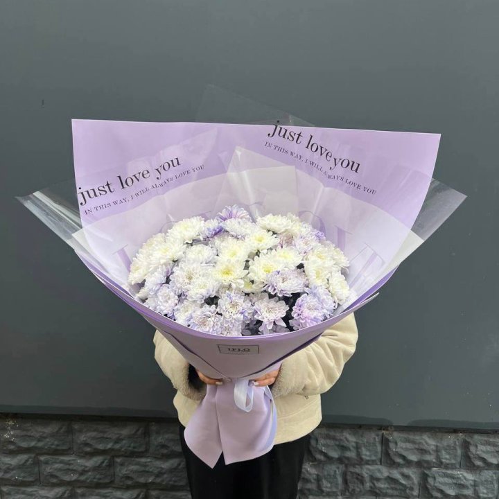 9 воздушных хризантем в Комсомольске-на-Амуре