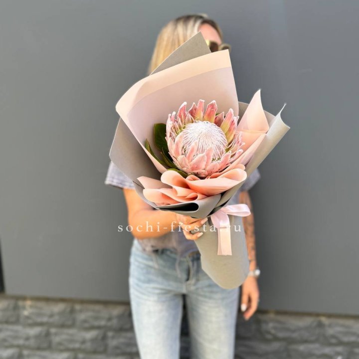 Протея мини  в Комсомольске-на-Амуре