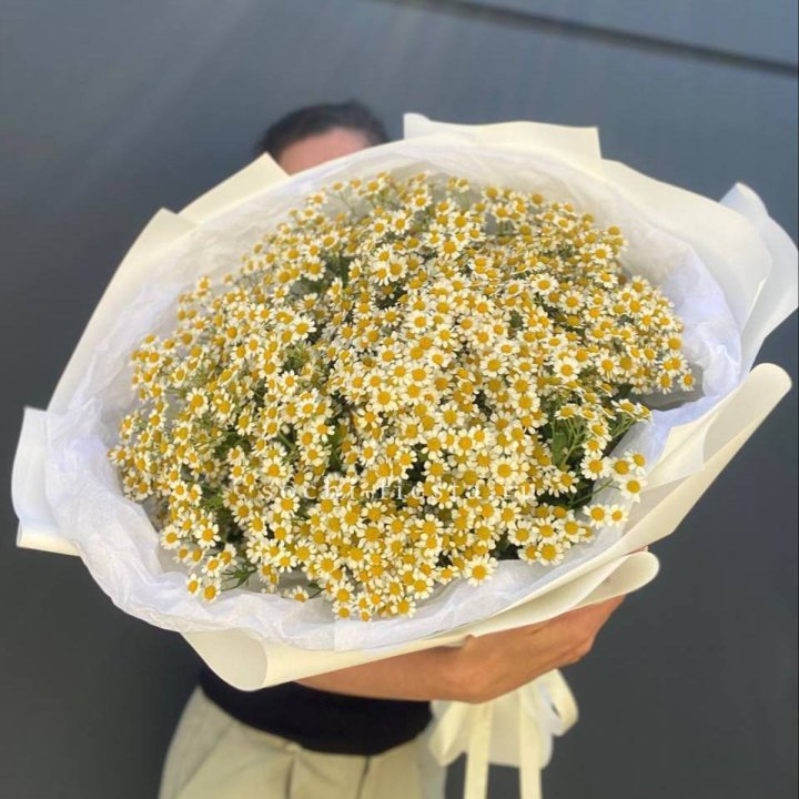Букет ромашек №2 в Комсомольске-на-Амуре