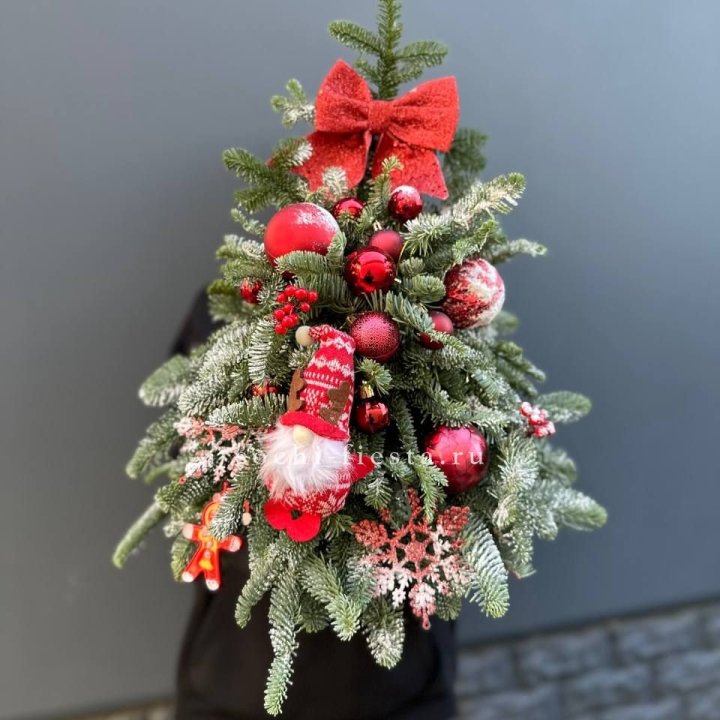 Новогодняя елочка "Ред" в Комсомольске-на-Амуре