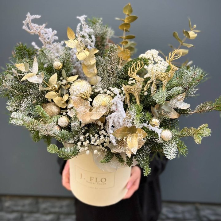 Золотой бокс с нобилисом в Комсомольске-на-Амуре