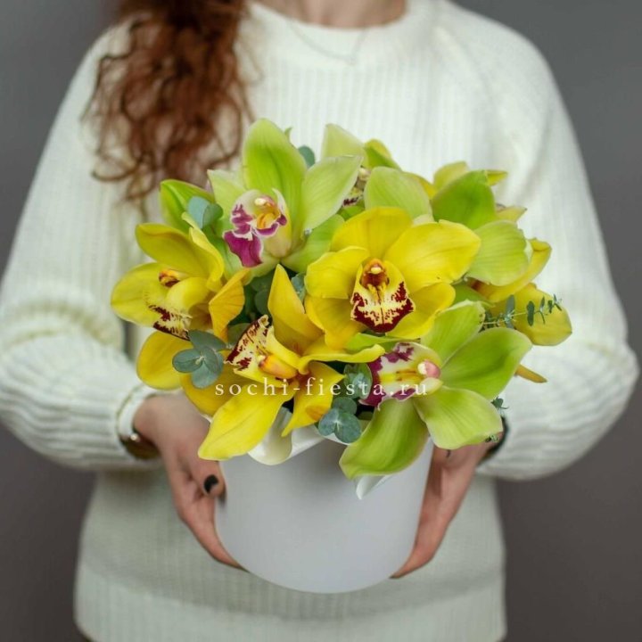 Бокс с орхидей №1 в Комсомольске-на-Амуре