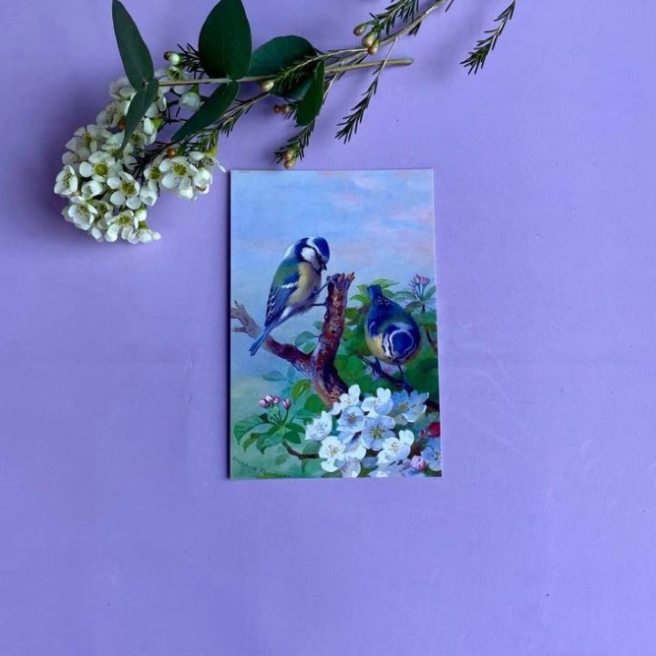 Открытка к букету "Птицы" в Комсомольске-на-Амуре