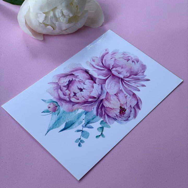 Открытка к букету "Пионы" в Комсомольске-на-Амуре