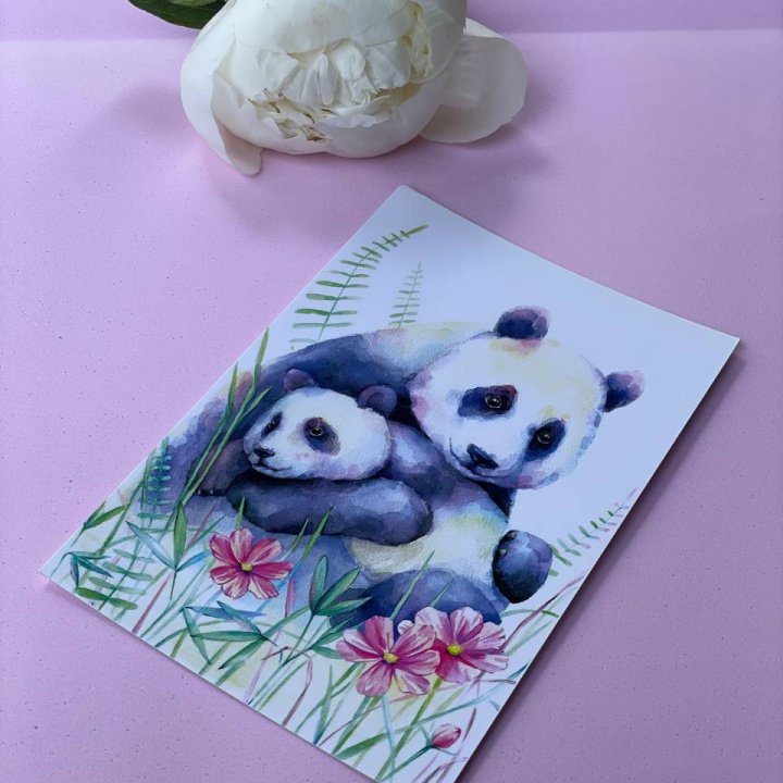 Открытка к букету "Объятие Панды" в Комсомольске-на-Амуре