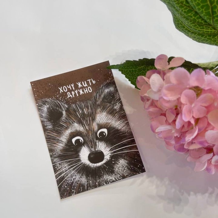 Открытка к букету "Енотик" в Комсомольске-на-Амуре