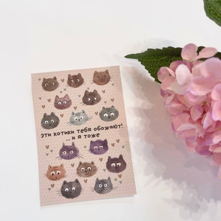 Открытка к букету "Котики" в Комсомольске-на-Амуре