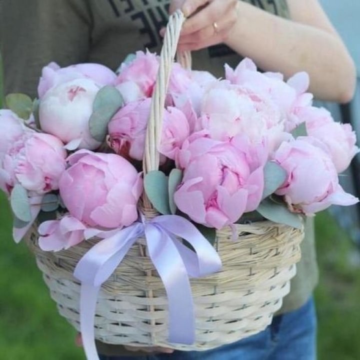 15 пионов в корзине в Комсомольске-на-Амуре