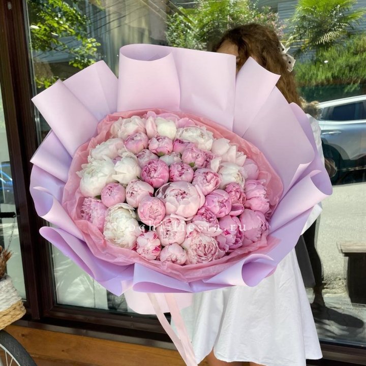 51 розовый пион в Комсомольске-на-Амуре