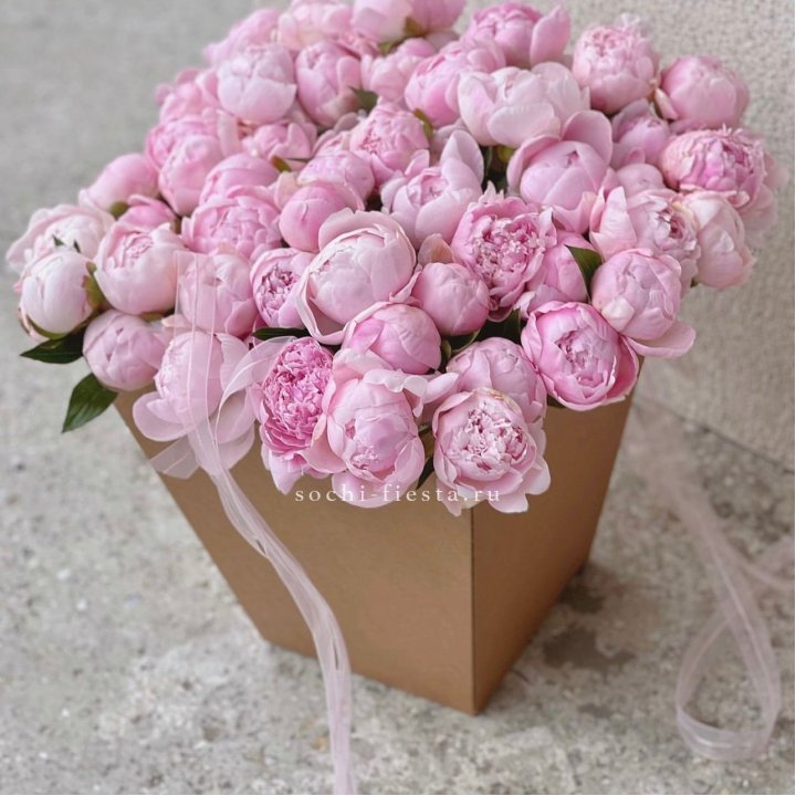 49 пионов в крафт коробке в Комсомольске-на-Амуре