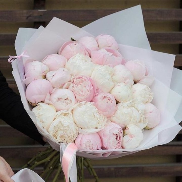 29 пионов в Комсомольске-на-Амуре