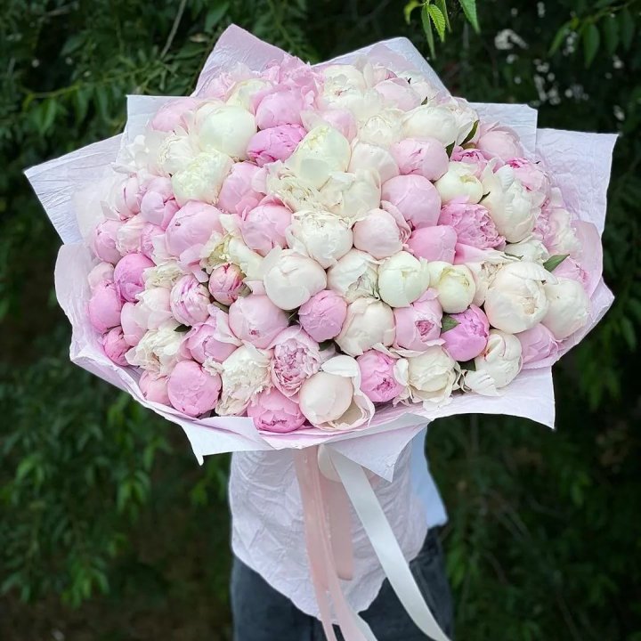 101 пион в Комсомольске-на-Амуре