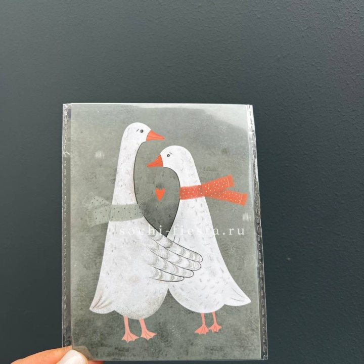 Открытка к букету "Гуси” в Комсомольске-на-Амуре