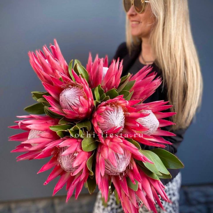 Протея штучно в Комсомольске-на-Амуре