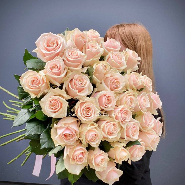 35 кремовых высоких роз в Комсомольске-на-Амуре