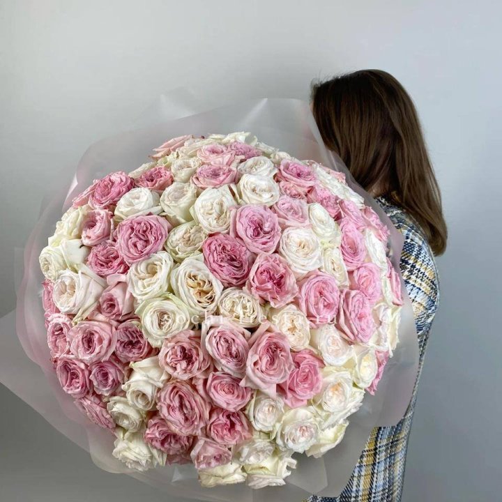 101 роз Охара в Комсомольске-на-Амуре