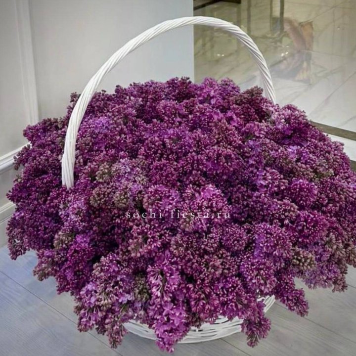 Корзина сирени в Комсомольске-на-Амуре