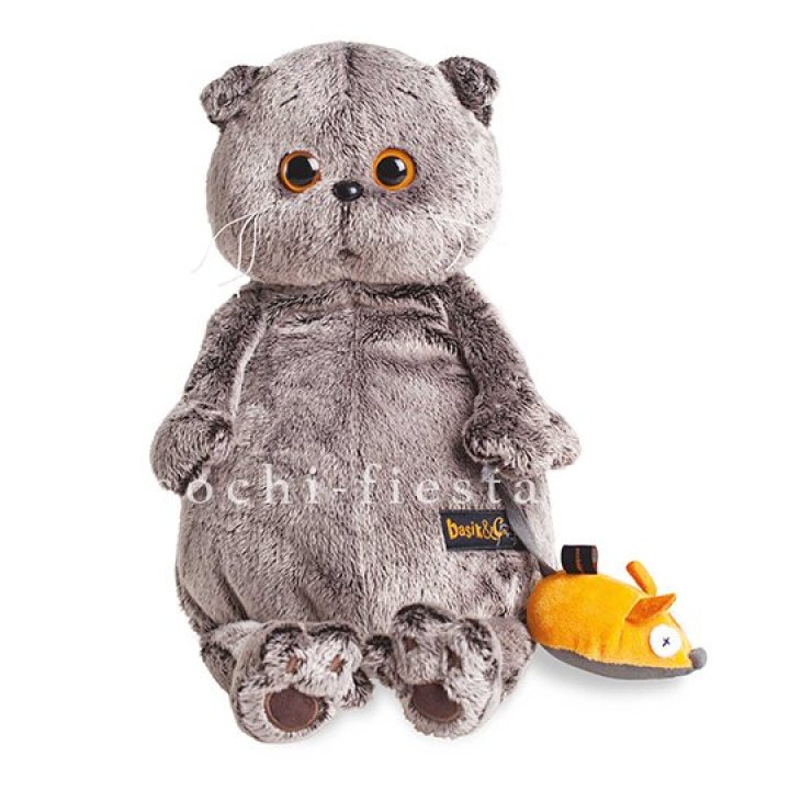 Кот Басик с мышкой в Комсомольске-на-Амуре