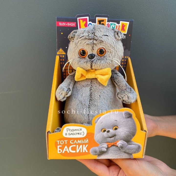 Кот Басик с бабочкой в Комсомольске-на-Амуре