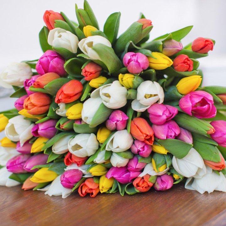 79 тюльпанов "Рандом" в Комсомольске-на-Амуре
