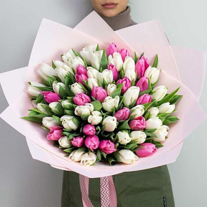 61 бело-розовый тюльпан в Комсомольске-на-Амуре