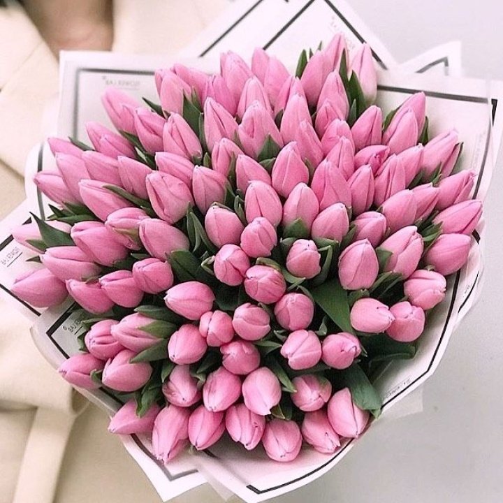 101 розовый тюльпан в белом в Комсомольске-на-Амуре