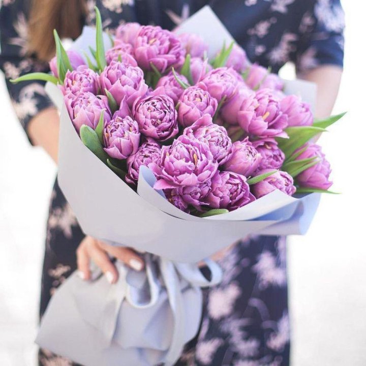 Тюльпаны "Пионс" в Комсомольске-на-Амуре