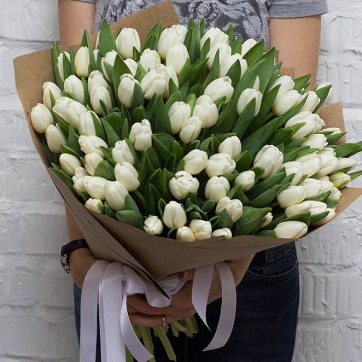 101 тюльпан сноу в Комсомольске-на-Амуре