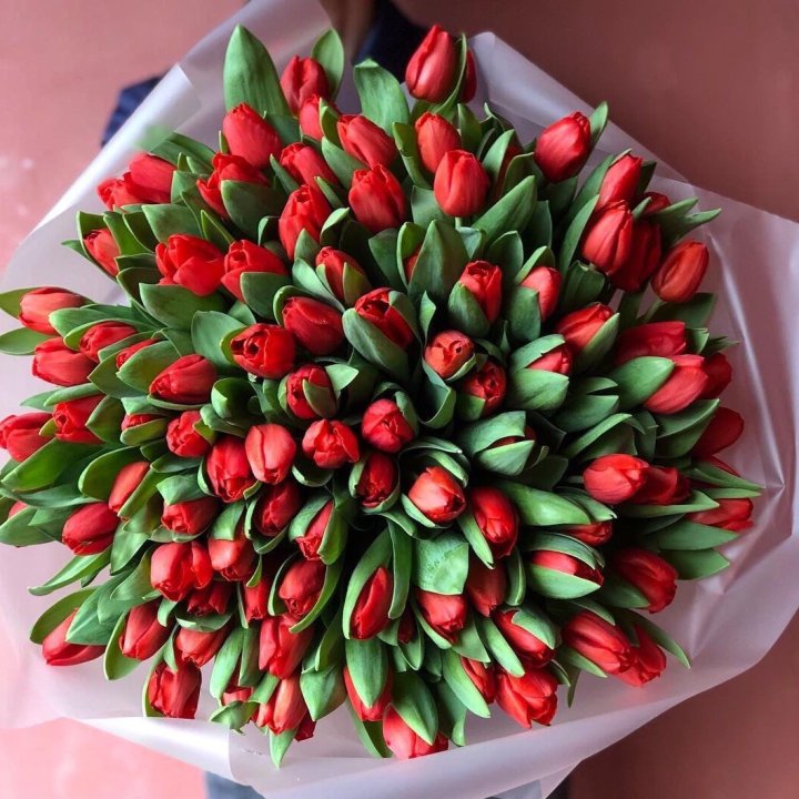 101 красный тюльпан в Комсомольске-на-Амуре